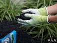 Smart Gardening: Water and Weed Wisely