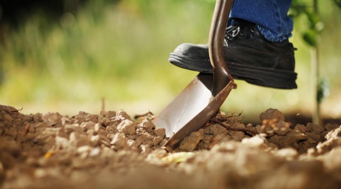 Call 811 before every digging project, large or small